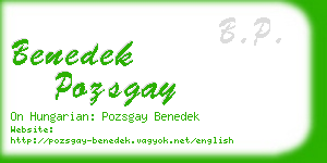 benedek pozsgay business card